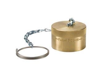 Parker 6109-16 Coupler Dust Plug Assembly 1 IN Brass