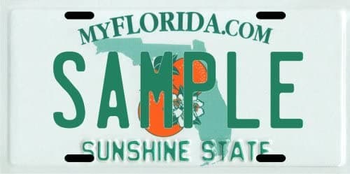 Custom Personalized Metal License Plate Your Name Your State - Choose from All 50 States