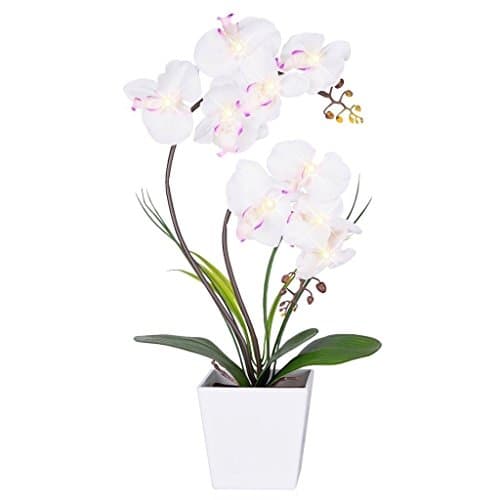 FLCSIed Floristlighting LED Lighted Artificial Orchid Arrangement-Battery Operated Orchid Pot with 9 Lights (White)