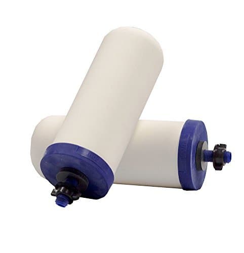 Propur ProOne M Replacement Filters for Propur Fruit Infused Water Filter Pitcher - Removes Fluoride, Lead, Chlorine, Microplastics, and More -2 Filters