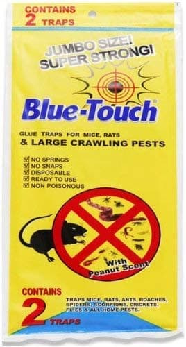 Blue Touch Large Glue Board Professional Sticky Traps Totally 8 Traps