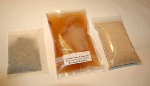 Kombucha Culture, organic - Deluxe Kit plus 1/4 lb organic black tea