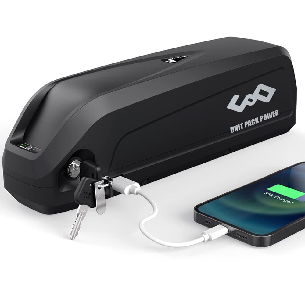 Ebike Battery 48V 15AH Lithium ion Battery with Charger, USB Port for Ebike conversion kit, hub motor 1500W 1000w 750w 500w 250w