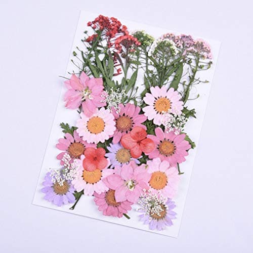 CheeseandU Real Mixed Multiple Dried Pressed Flowers, Mini Rose, Daisy, Larkspur, Queen Anne's Lace Hydrangea Alyssum Leaves Natural Pressed Flowers For Art Craft DIY Resin, 35PCS