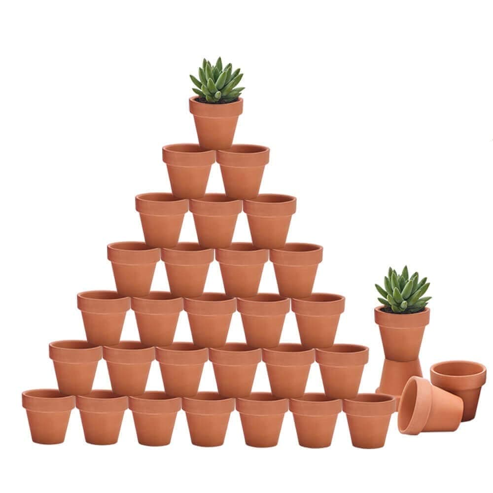 Riseuvo 32pcs 2" Small Mini Terracotta & Clay Pot Planter - Cactus Flower Nursery Terra Cotta Pots with Drainage, Perfect for Indoor/Outdoor Plants, Crafts