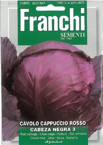 Franchi Red Cabbage - Cavolo cappuccio rosso Cabeza negra 3