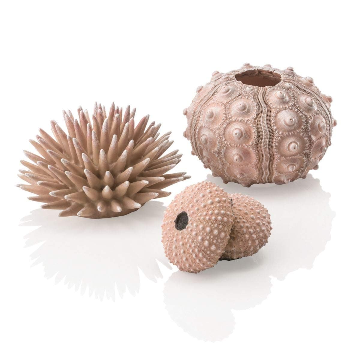 biOrb Fish Tank Decorations, Sea Urchin Aquarium Ornament Set (3 x Natural), Beautiful Detailed Artificial Fish Tank Accessories to Add Colour, Natural-Looking Aquarium Decor for Scenic Background
