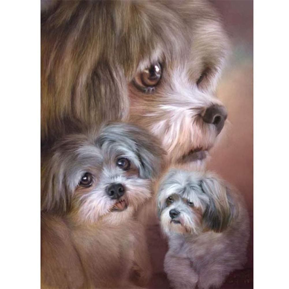 Aphila DIY Diamond Painting Kits for Adults Full Round Drill Dog Shih tzu s Rhinestone Cross Stitch Art Craft Home Wall Decor Christmas Gift 25x30cm/10X12inches