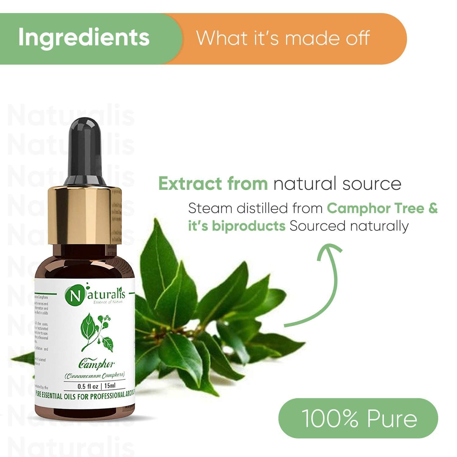 Naturalis Essence of Nature Camphor Essential Oil for Skin & Hair Care 15ml
