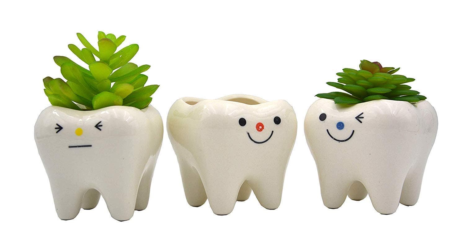Mini Shaped Planter Modern Style Teeth Pots Ceramic Flower Pot Plant Pots Set for Small Succulent (Red)