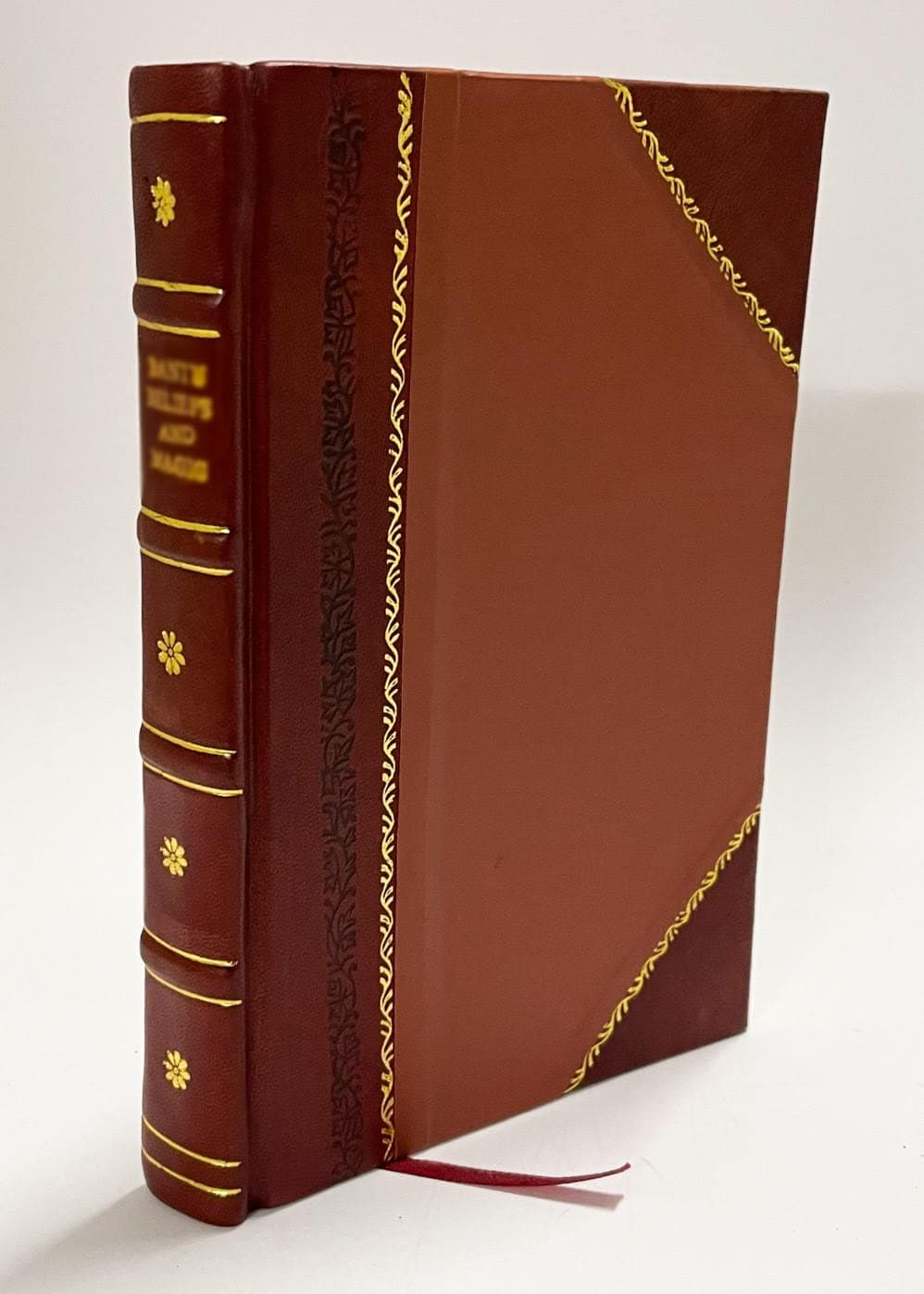 Pons Tironum Quem Fecerunt / R.B. Appleton Et W.H.S. Jones (1914) [Leather Bound]