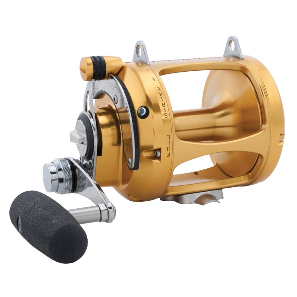 Penn International V-Series 2-Speed Fishing Reel