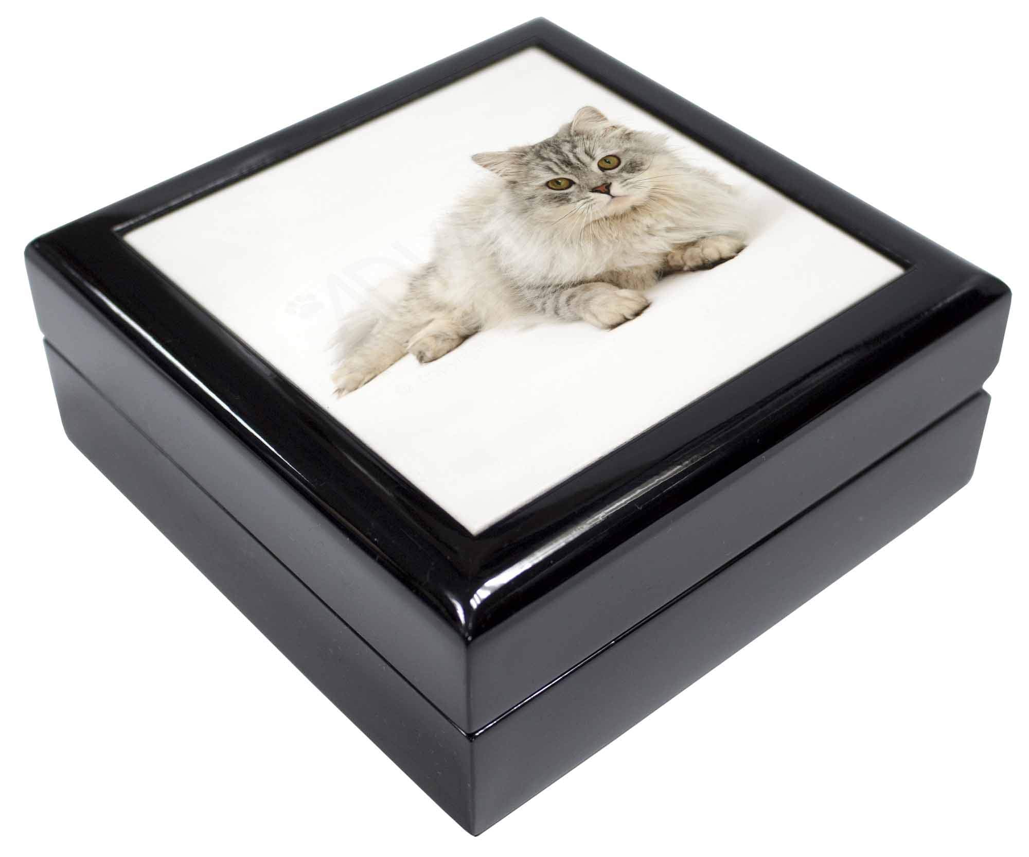 Advanta GroupAdvanta Group Silver Chinchilla Persian Cat Keepsake/Jewellery Box