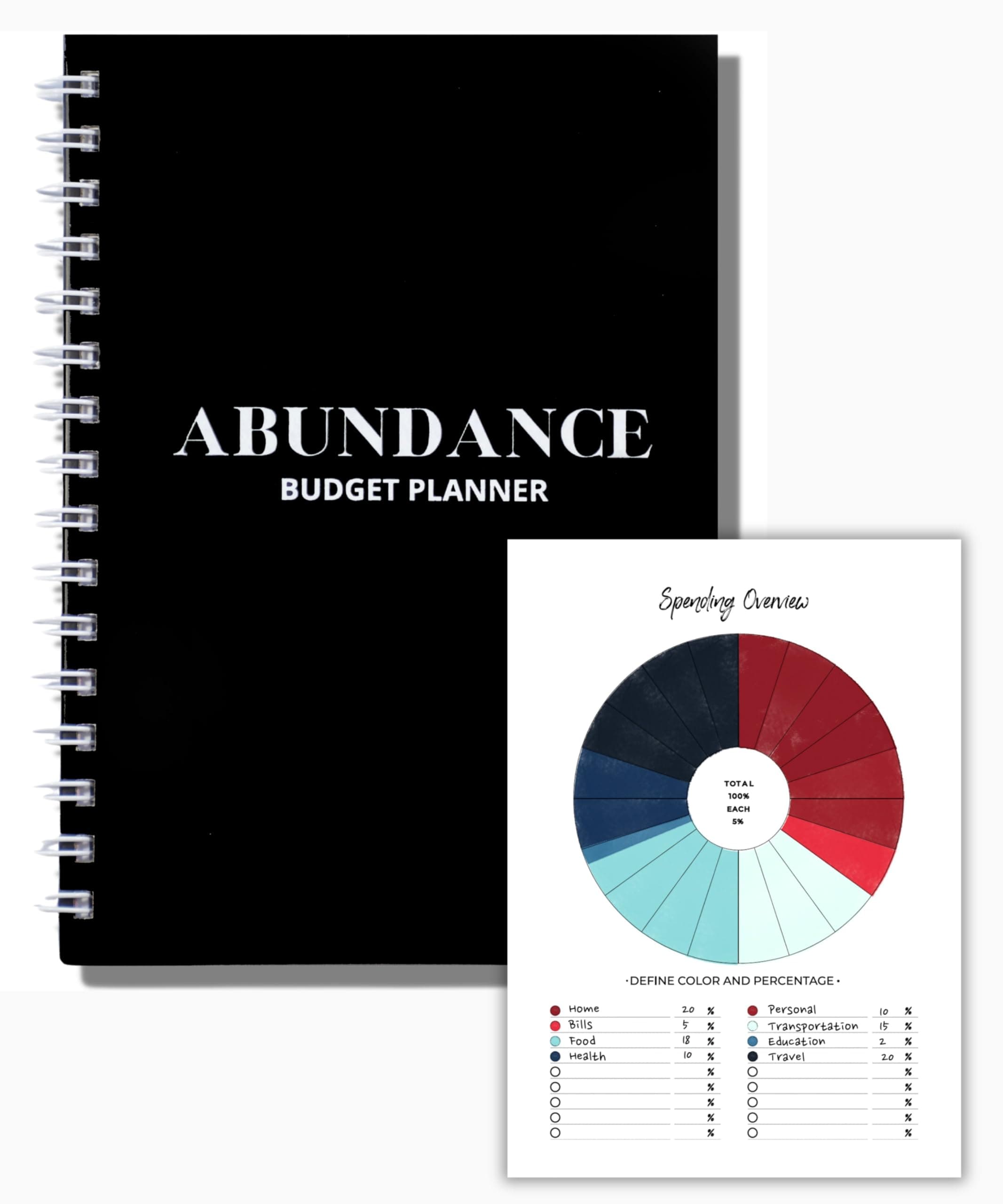 Lamare Budget Planner and Monthly Bill Organizer – Financial Planner with Expense Tracker Notebook, Debt Tracker & Budget Journal