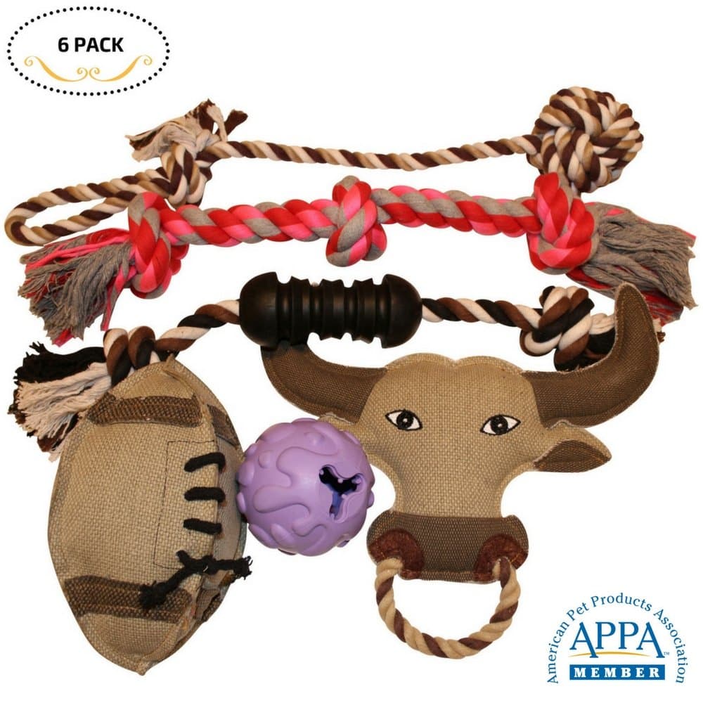Dog Toys 6 Pcs Gift Set Variety Pack for Dogs Pet, Durable Teeth Cleaning Rope Chew Toys, Rubber Ball - Treat Dispensing Training Toy, Canvas Plush Squeaky, Nontoxic
