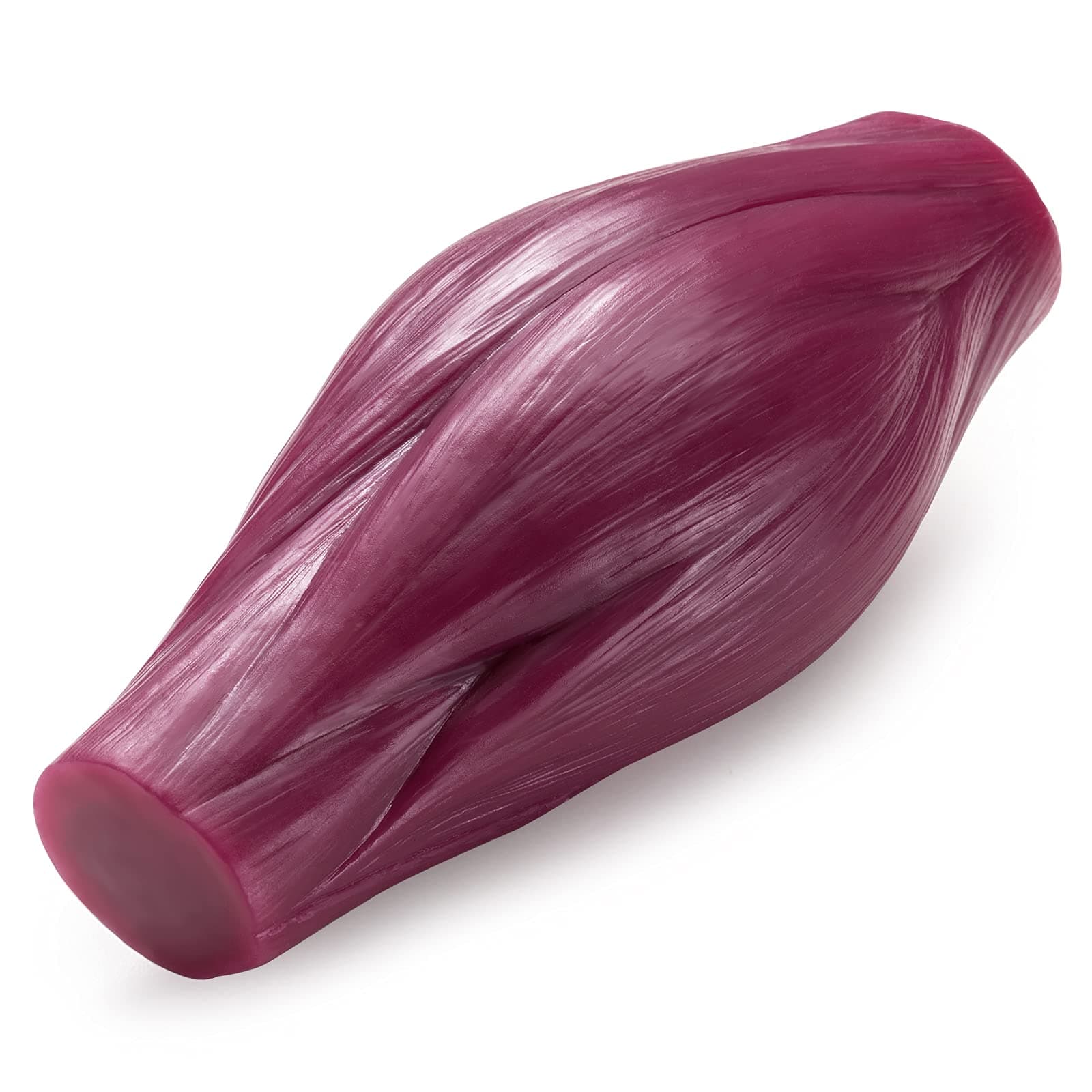 - Human Body Muscle Replica Model - 1 lb to Keep Fit & Fitness Encouragement for Fitness Enthusiast, Nutritionist, Athlete