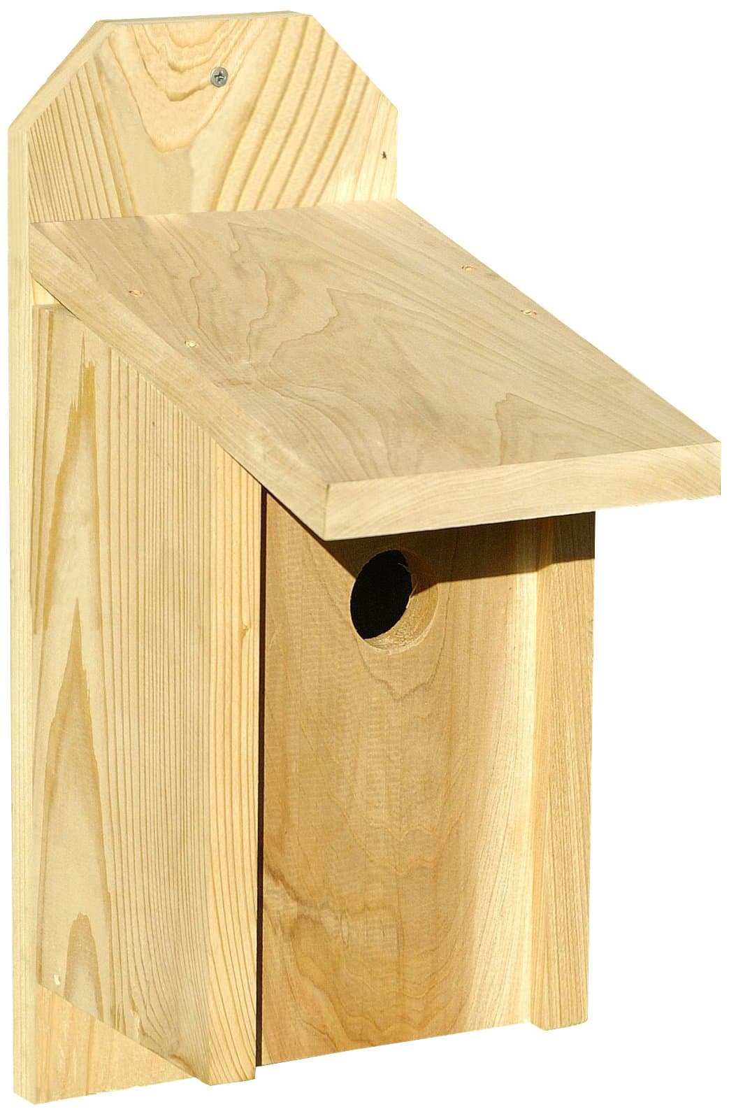 136A Western Bluebird Decorative Bird House