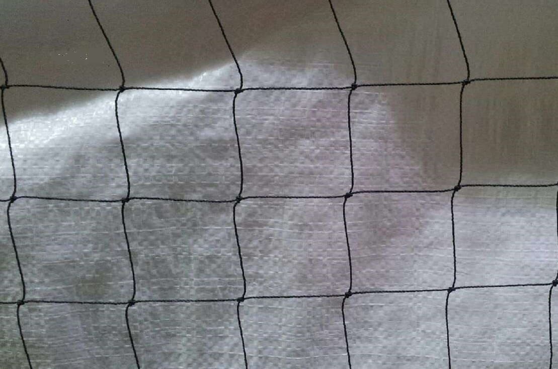 PIGEON NETTING 2inch square mesh 50mm BLACK - NOT PLASTIC ! (3m x 4m)