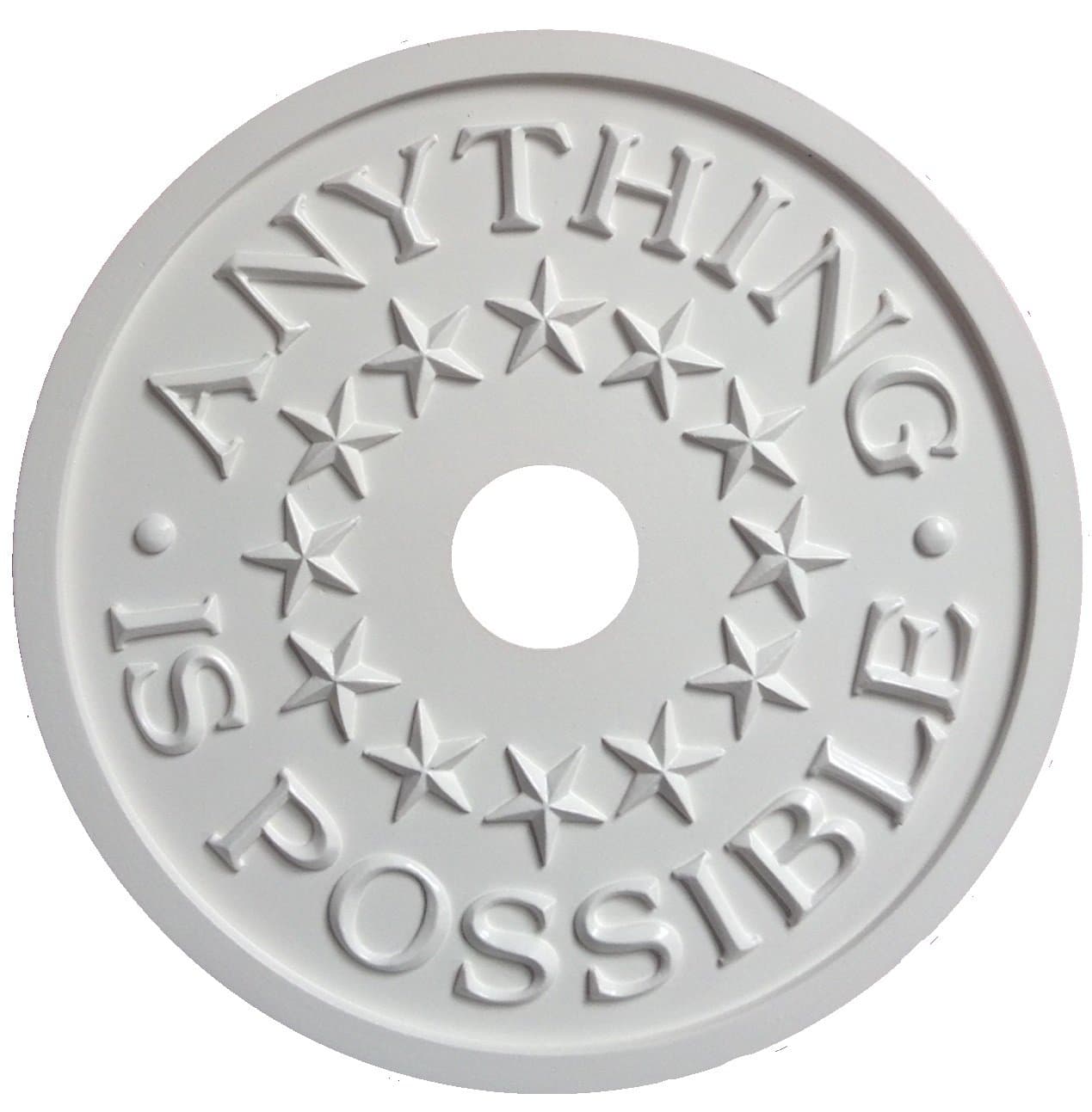 Anything Is Possible Ceiling Medallion