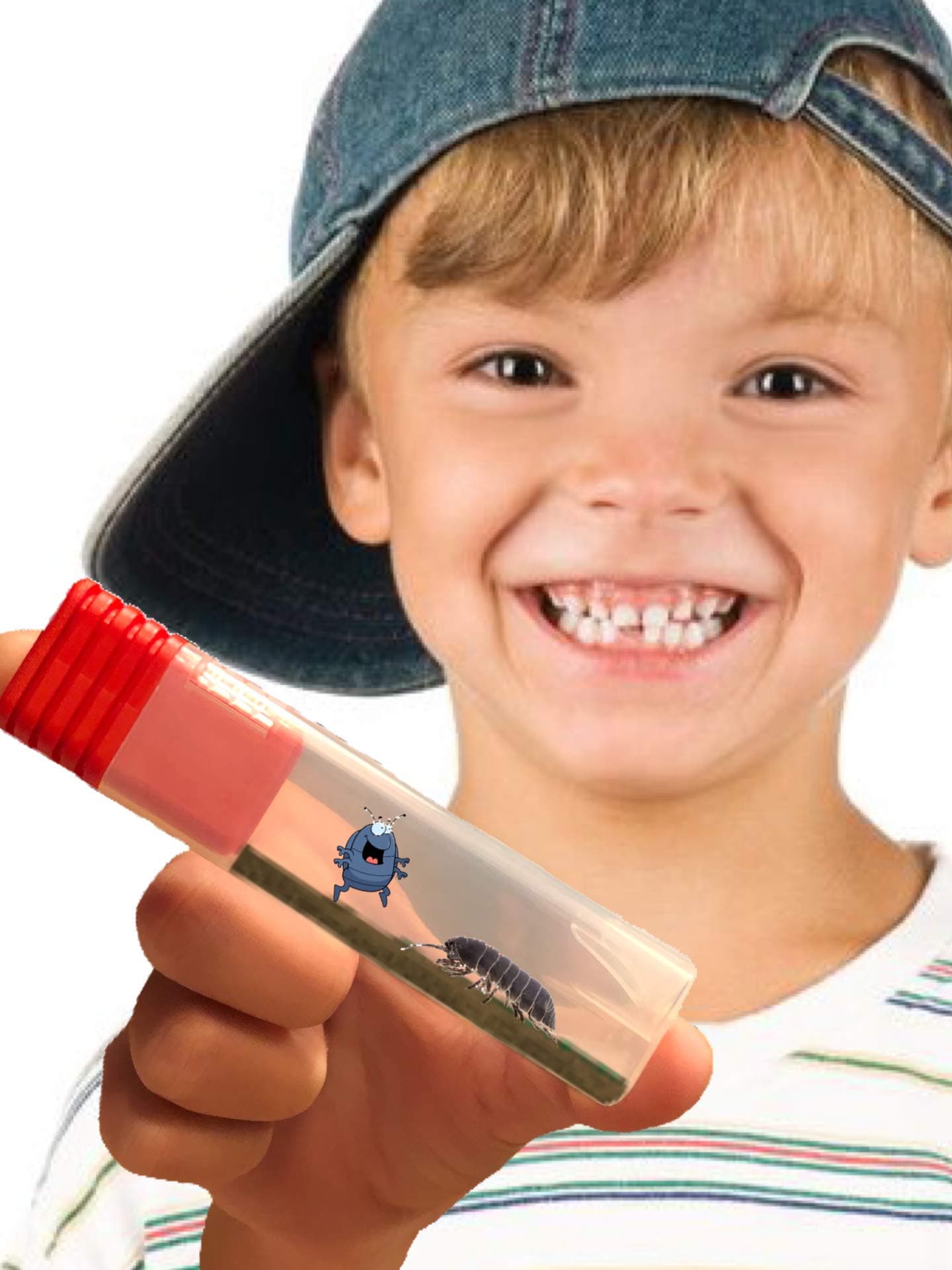 Pocket Pets Habitat with Exotic Roly Poly Voucher