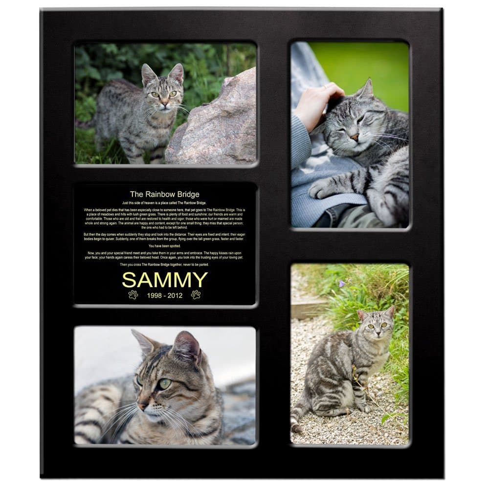Rainbow Bridge - Collage Picture Frame For Cats - Brass Metal Plaqe Personalized With Name - "Words Shine Like Gold" - 11.375” X 13.375” - Free Sympathy Card