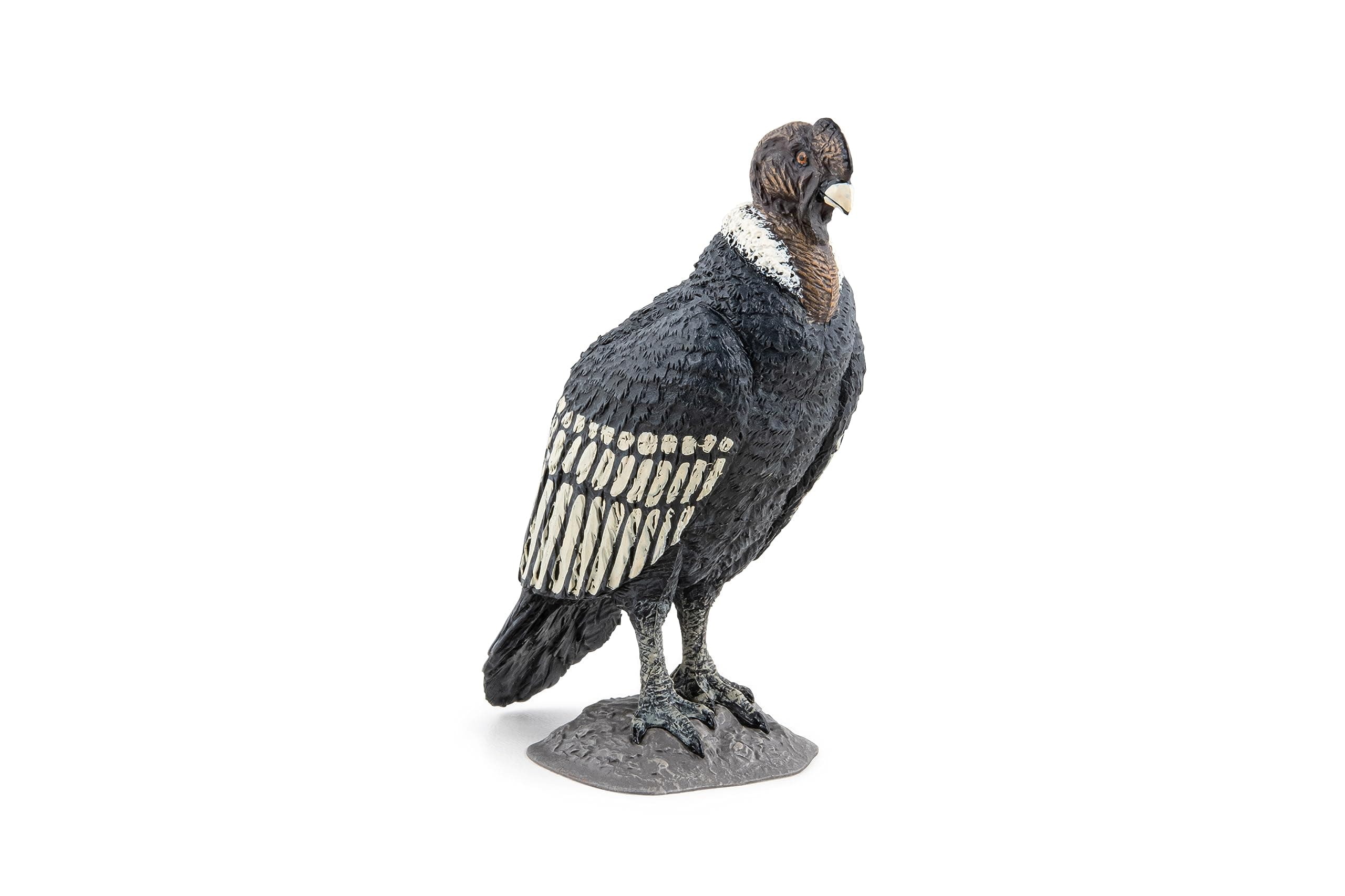 Hand painted - Figurine - Condor - 50293 - Wildlife animals - Collectible - For Children - Suitable for Boys and Girls - From 3 years old