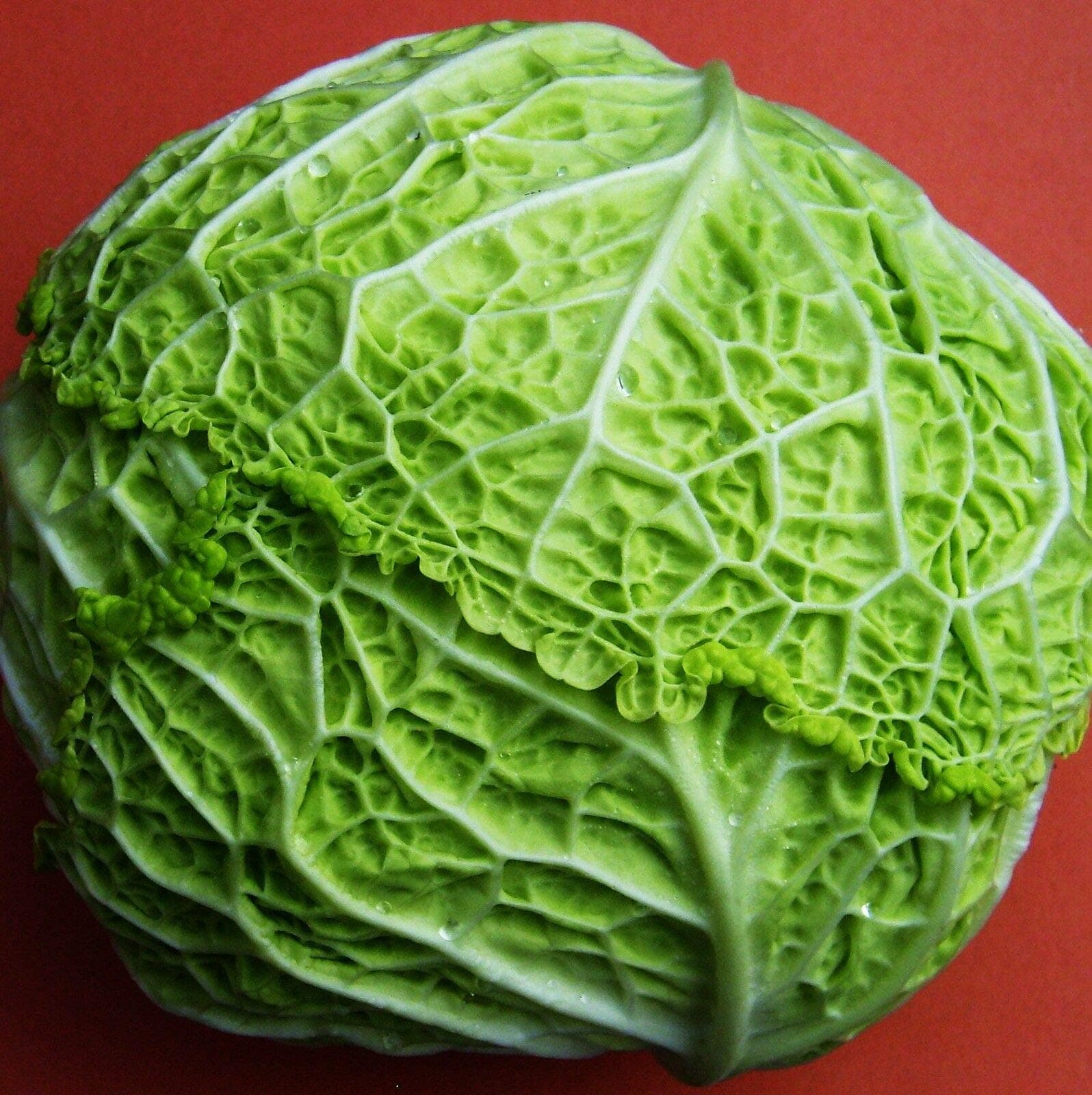 300 seeds of Savoy Cabbage Ormskirk