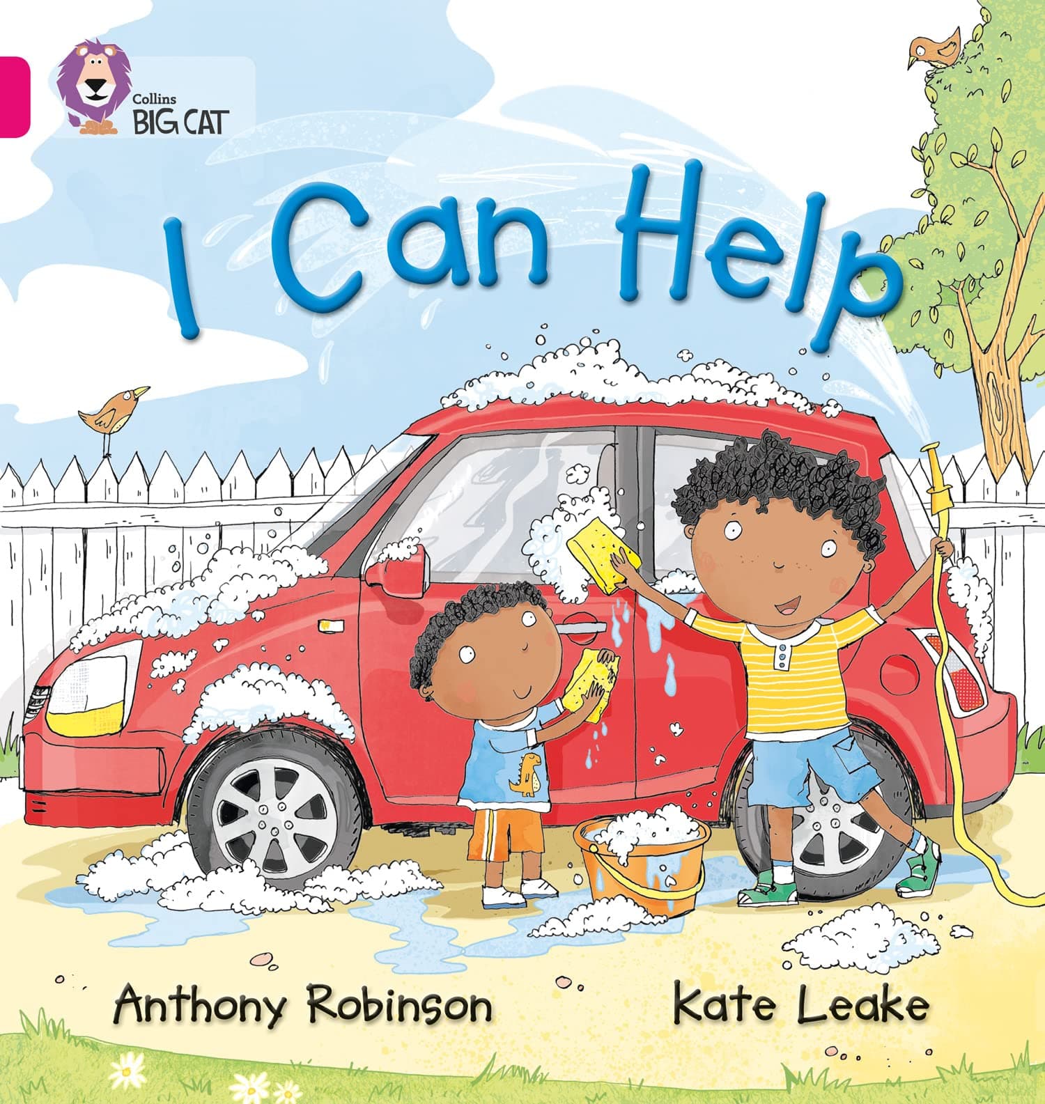 I Can Help: Band 01B/Pink B Robinson, Anthony And Leake, Kate