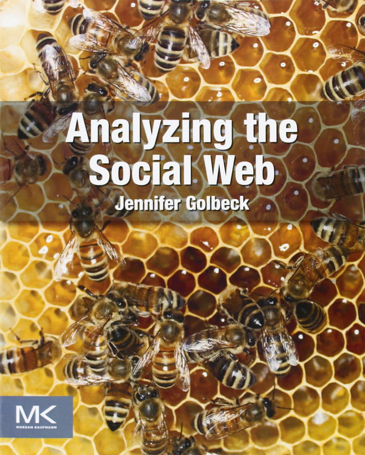 Analyzing the Social Web 1st Edition