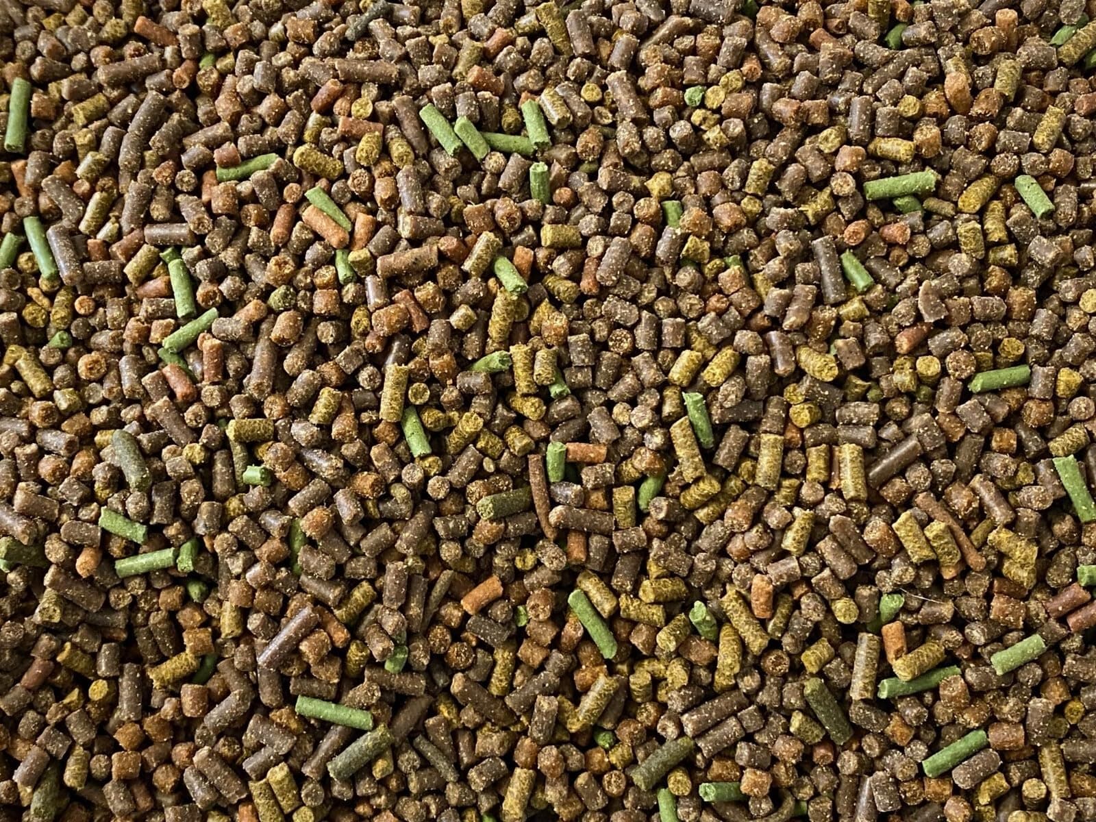 AQUATICBLENDEDFOODS Aquatic Freshwater Snail Food Mix #2 with Calcium Snail,Shrimp & Crayfish Food - A2 (1oz Sample)