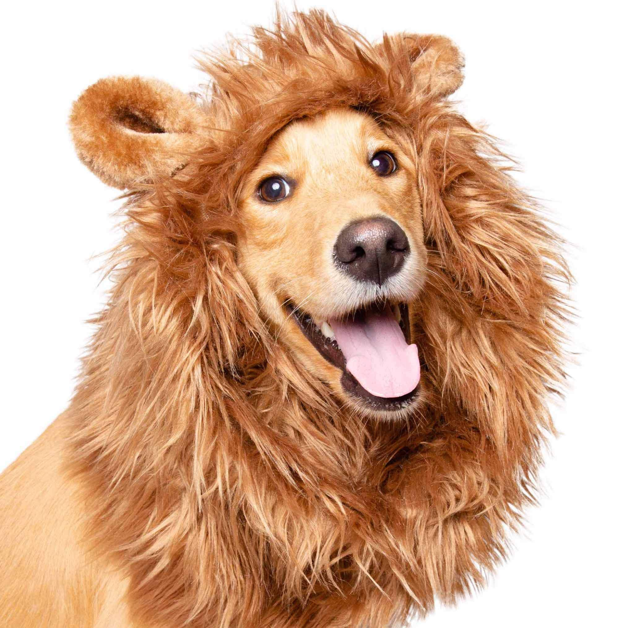 Pet Krewe Lion Mane for Dog -Fits Neck Size 13" - 32"-Lion Mane Dog Costume by Pet Krewe