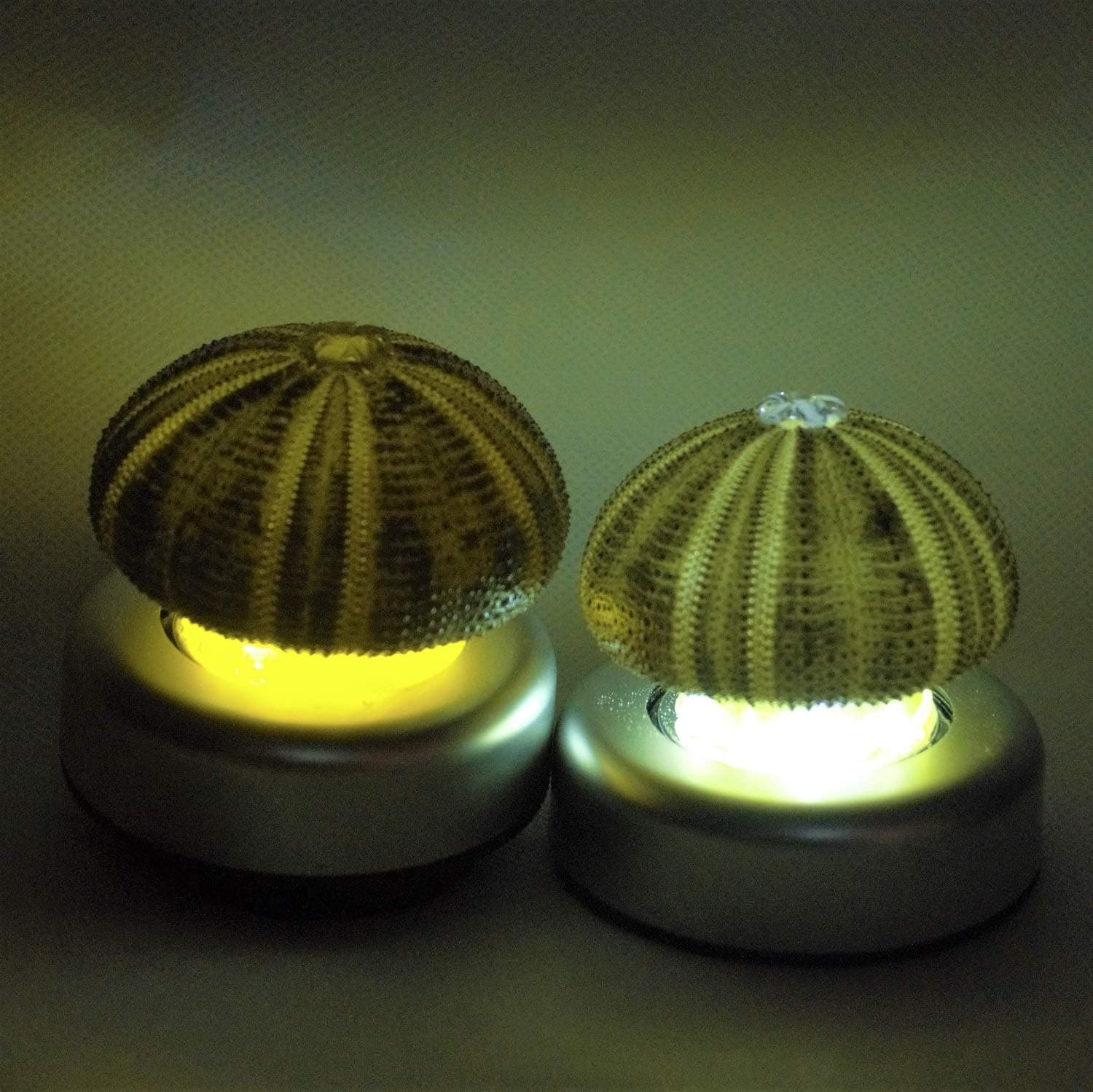 Sea Urchin Tap Touch Lamp，Handmade Resin Reinforced Art Stick-On Push Light,Luminous Stone Inside,for Kid Sleep Aid,Easy-Found in Darkness，3 Pack，Battery Not Included