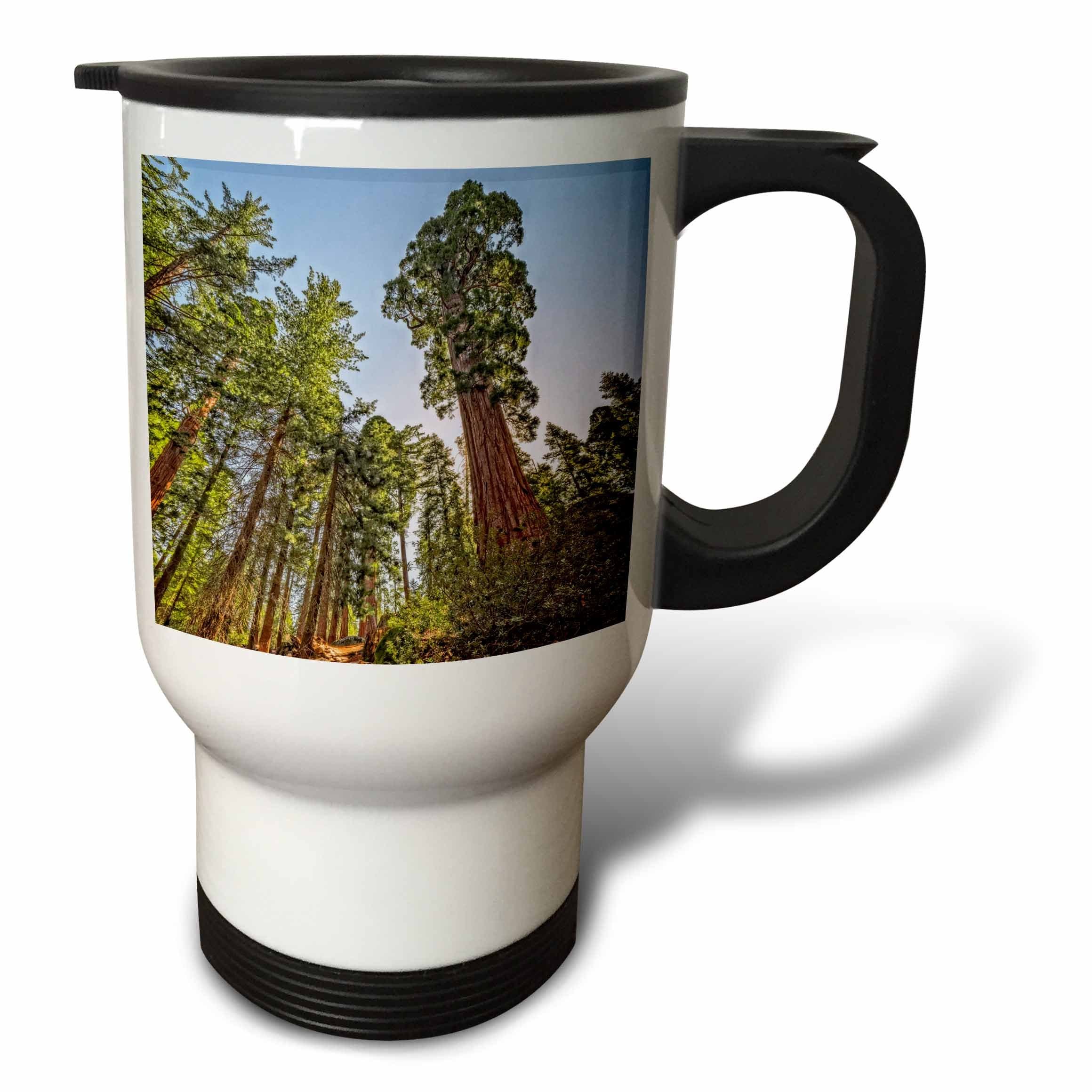 3dRose tm_186826_1 Mighty Sequoia Travel Mug, 14-Ounce, Stainless Steel