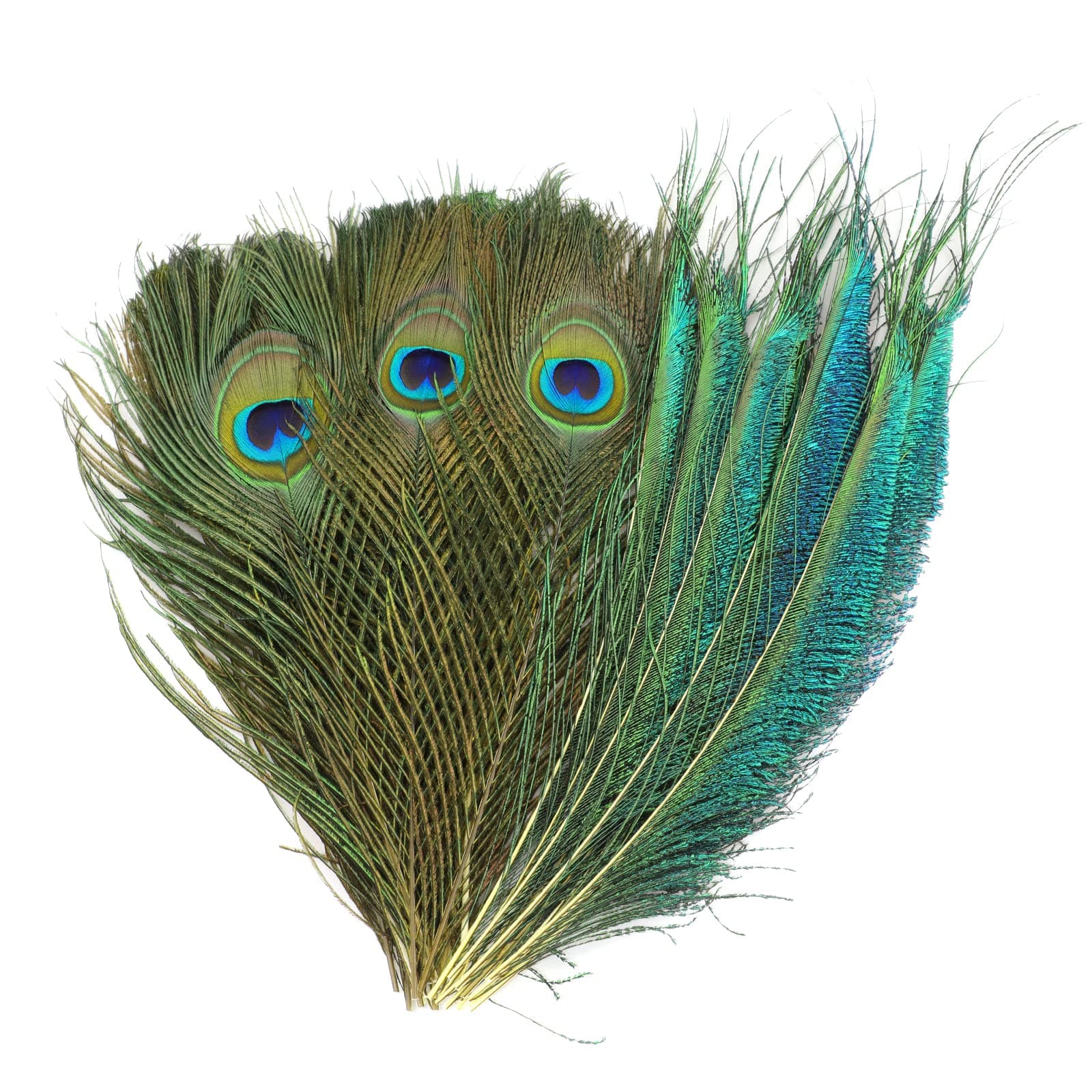 MWOOT 30Pcs Natural Peacock Feathers, Green Peacock Sword Feathers for DIY Crafts Art, Peacock Tail Feathers for Carnival Revelry Masquerade Costume Wedding Holiday Party Decoration (25-30CM)