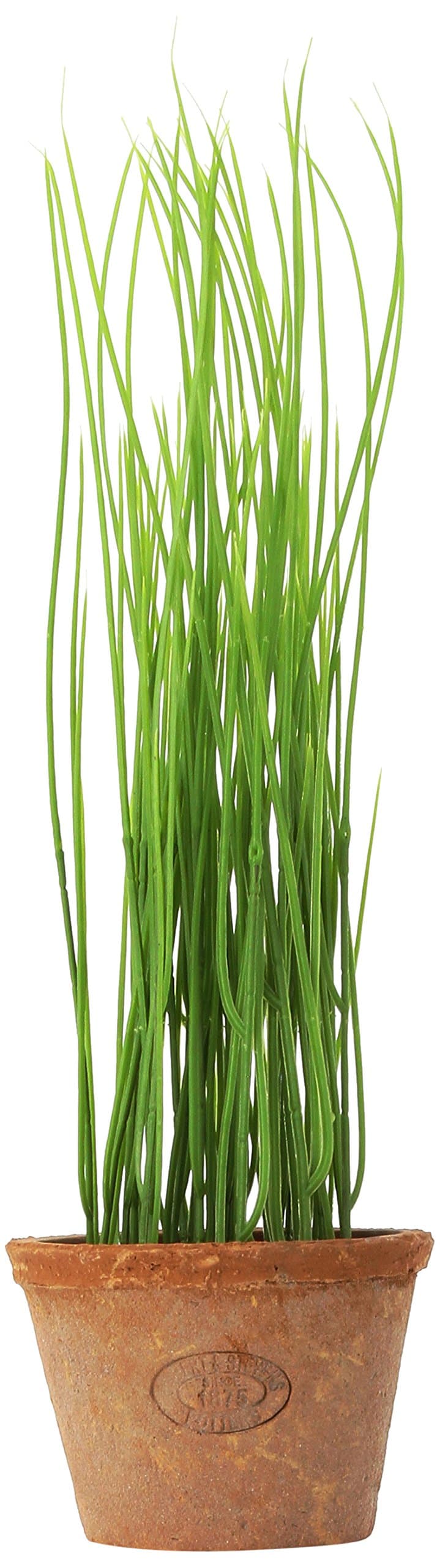 EsschertDesign AH005 Small Artificial Aged Terracotta Pot - Chives