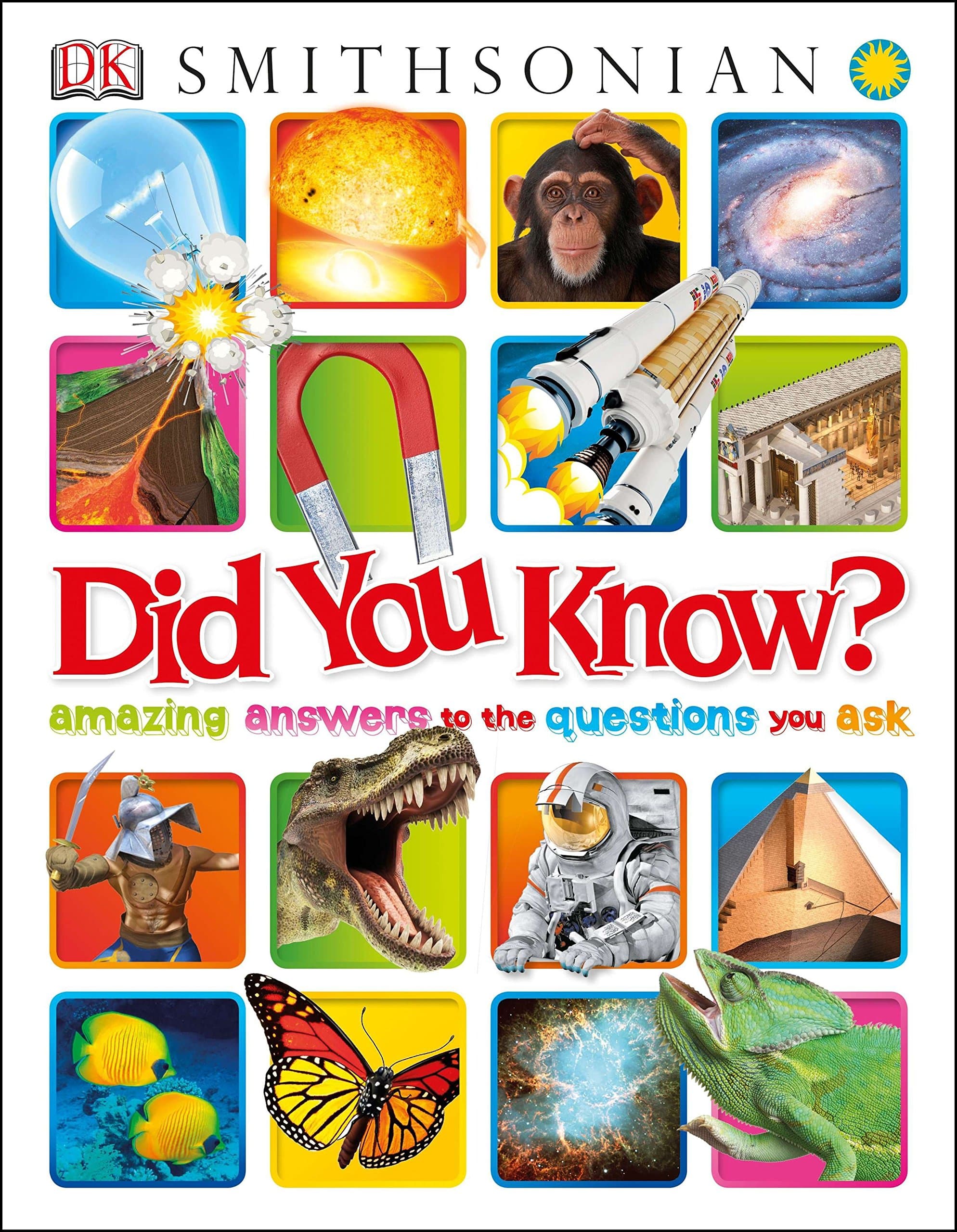 DK Did You Know?: Amazing Answers to the Questions You Ask