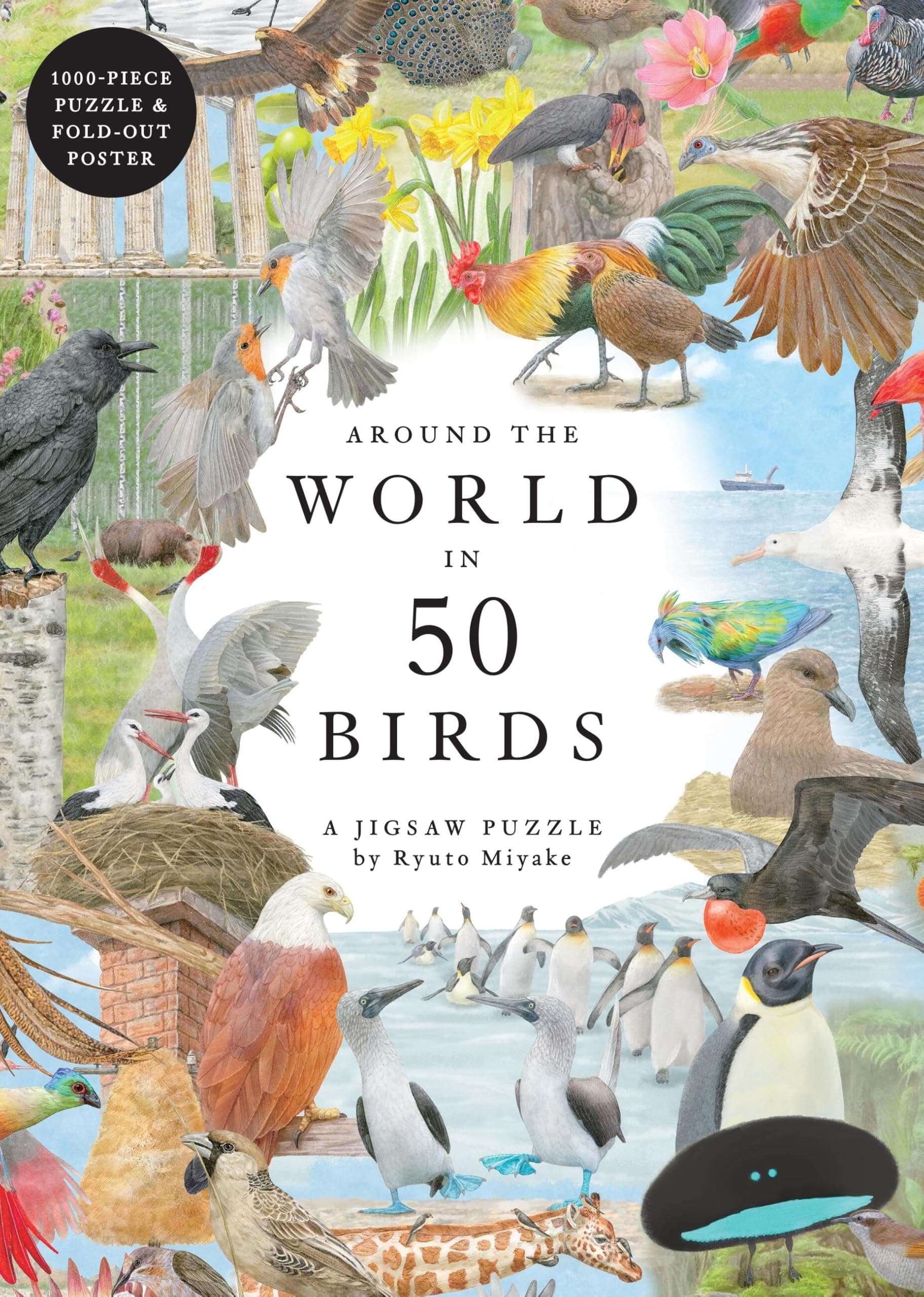 Around The World in 50 Birds 1000 Piece Puzzle