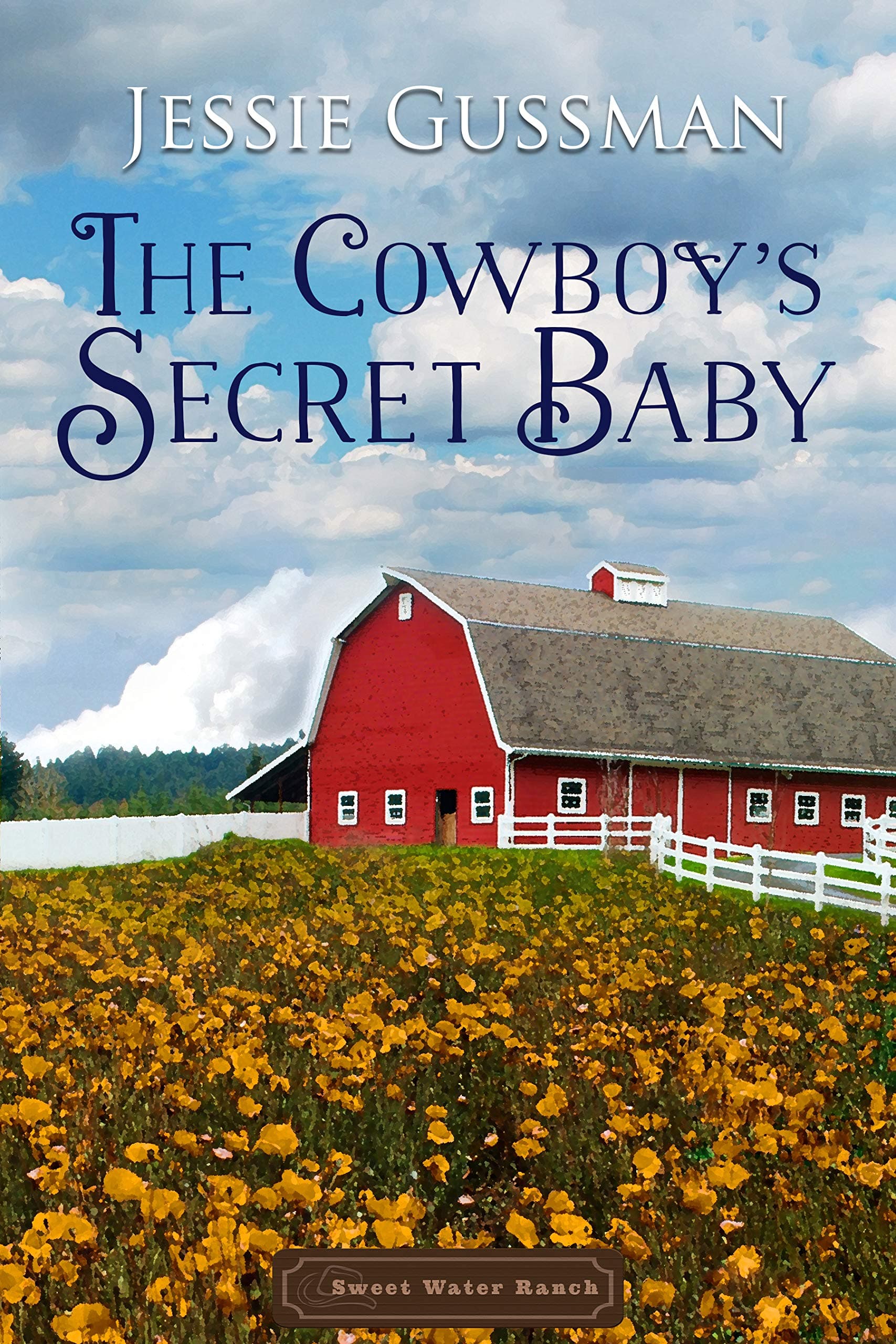 The Cowboy's Secret Baby (Sweet Water Ranch Western Cowboy Romance Book 2) Kindle Edition