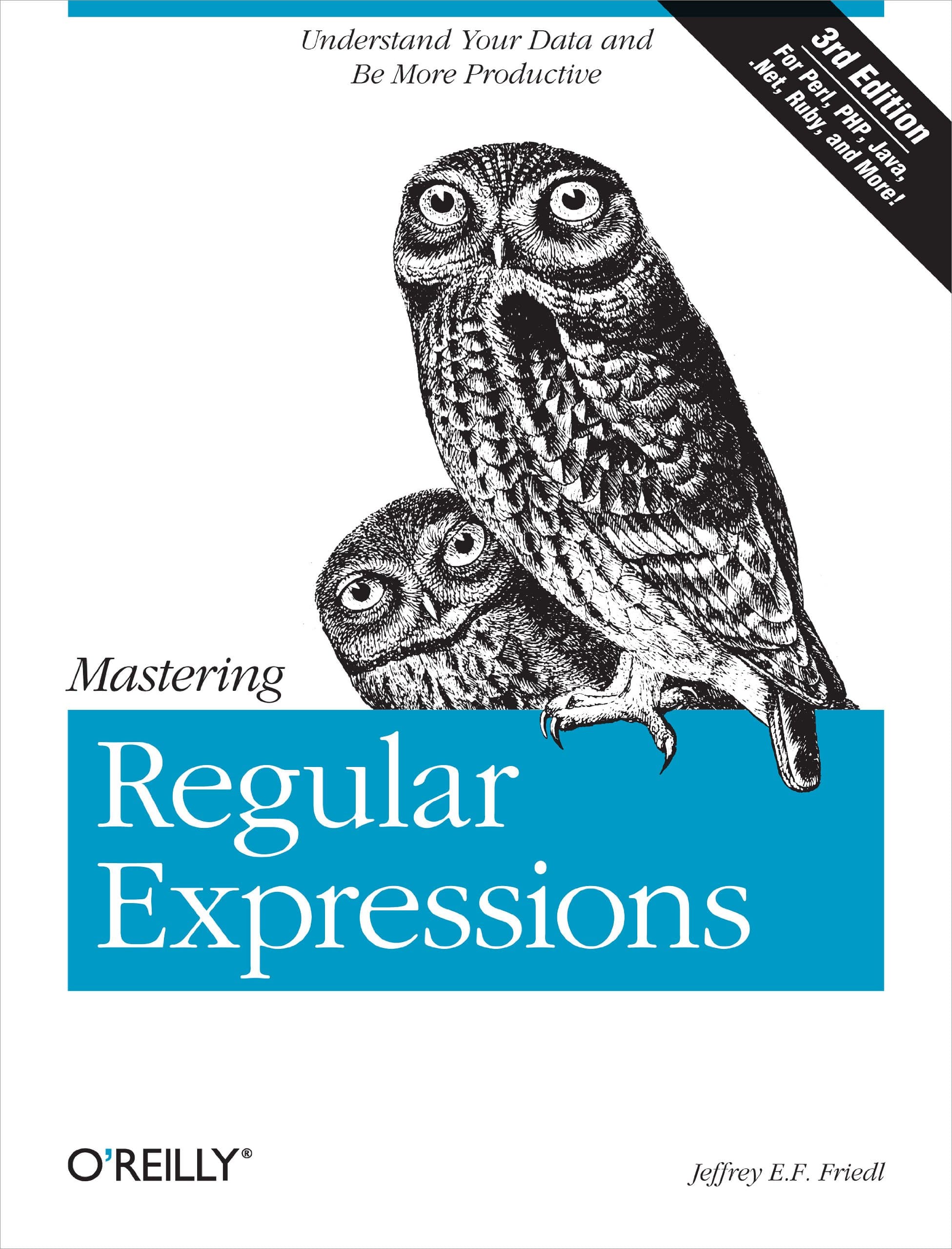 Mastering Regular Expressions 3e: Understand Your Data and Be More Productive (OREILLY)
