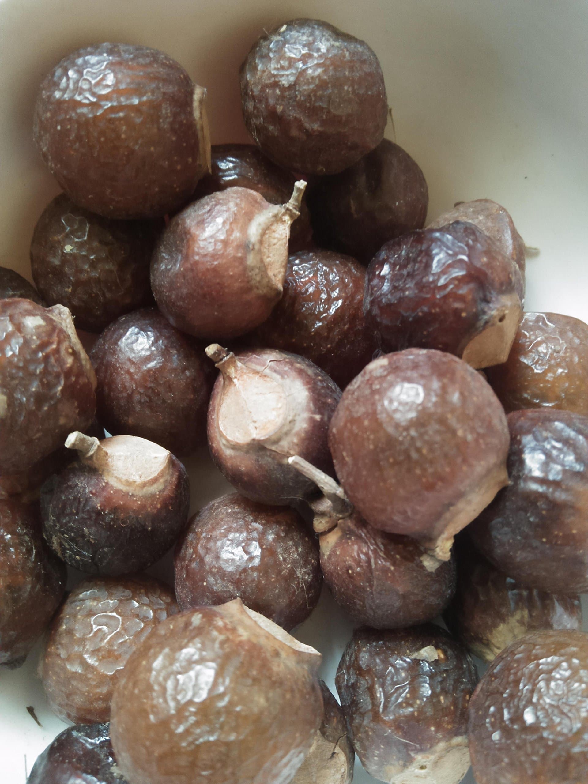 Marini Reetha Fresh and Organic SoapNuts, 100 g