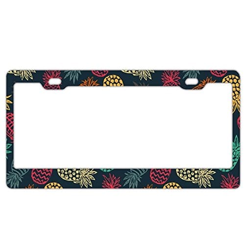 EXMENI Rainbow Pineapples License Plate Frame Theft-Proof Frames Stainless Steel Board Frames