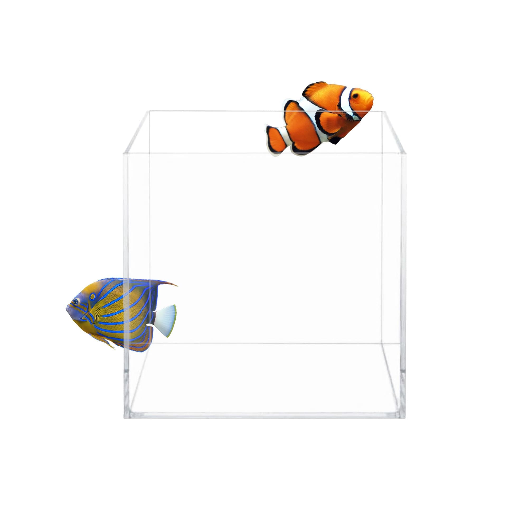 High Clarity Low Iron Glass Cube Aquarium, 4.12 Gal – 5mm Thick Glass – Slim Design – Fresh & Saltwater – Desktop Tank with Silicone Sealing