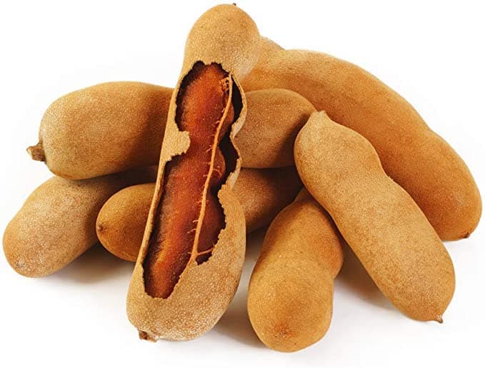 Cloud Farm Live Tamarind Thai Sweet Variety Imli Fruit Grafted Live Plant (1-1.5 Ft Size) Pack of 1 Healhy Plant CF_53