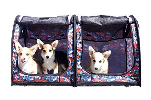 MushroomCat Portable 2 in 1double Pet Kennel/Shelter Big Show Cat Carrier/House with Small Travel Lite-Box for Cats