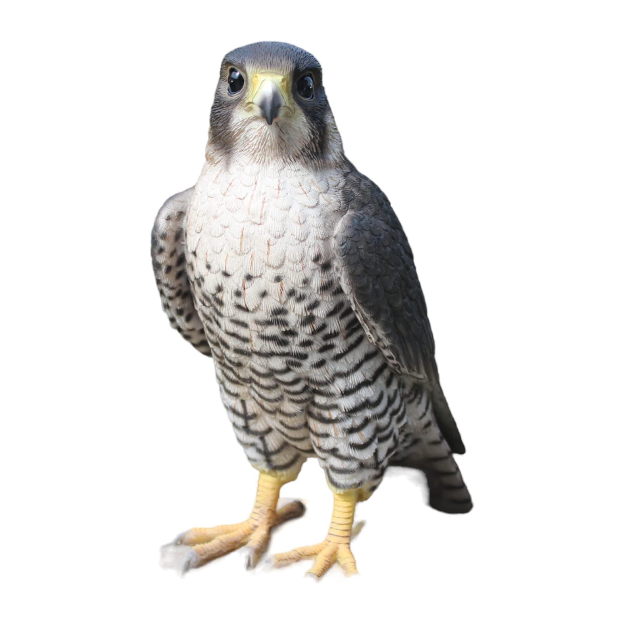 Vivid Arts XRL-PFAL-B Peregrine Falcon Resin Ornament