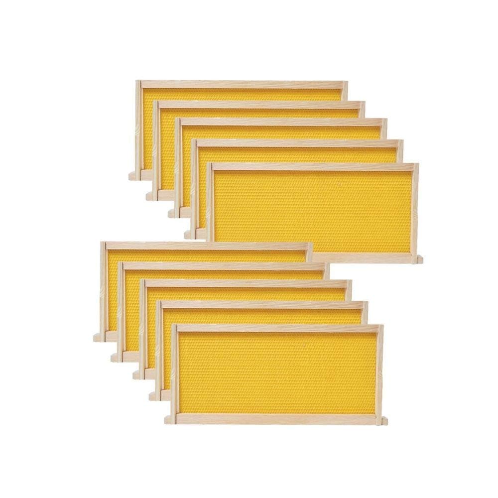 BeeCastle Medium Beehive Frames and Wax Foundations,10 Pack Honey Bee Frames with Wooden Bee Hive Frames and Beeswax Coated Foundations, 6-1/4-Inch (Yellow)