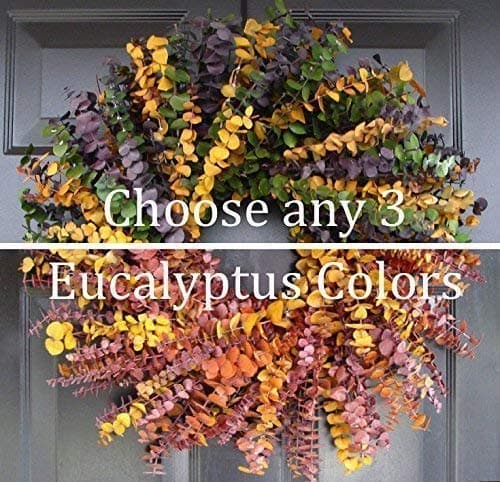 Elegant Holidays Handmade Eucalyptus Wreath, Choice of 3 Colors, Welcome Guests with Decorative Front Door- for Outdoor or Indoor Home Wall Accent Décor All Seasons and Holidays 16-24 inches available