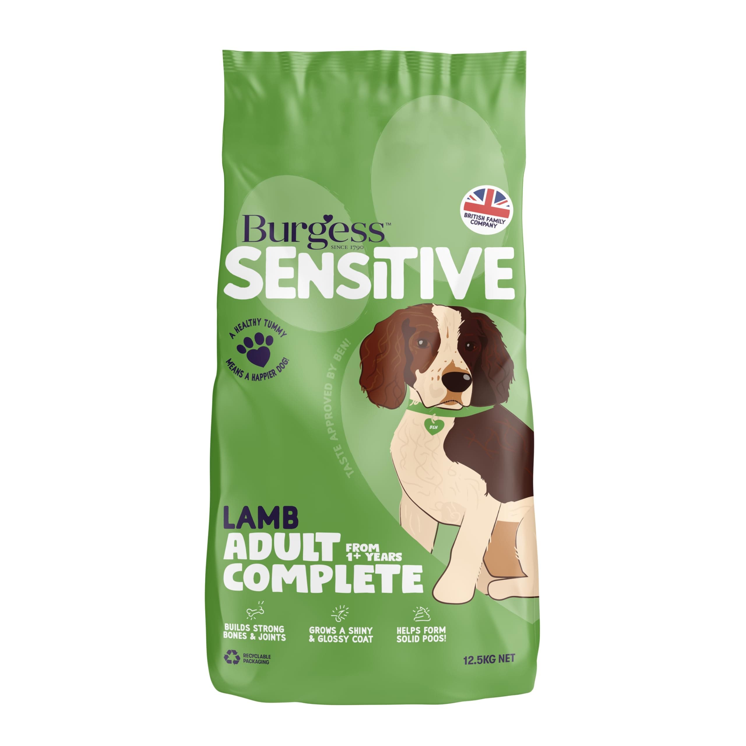 Hypoallergenic Dog Food Adult British Lamb and Rice 12.5 kg, brown