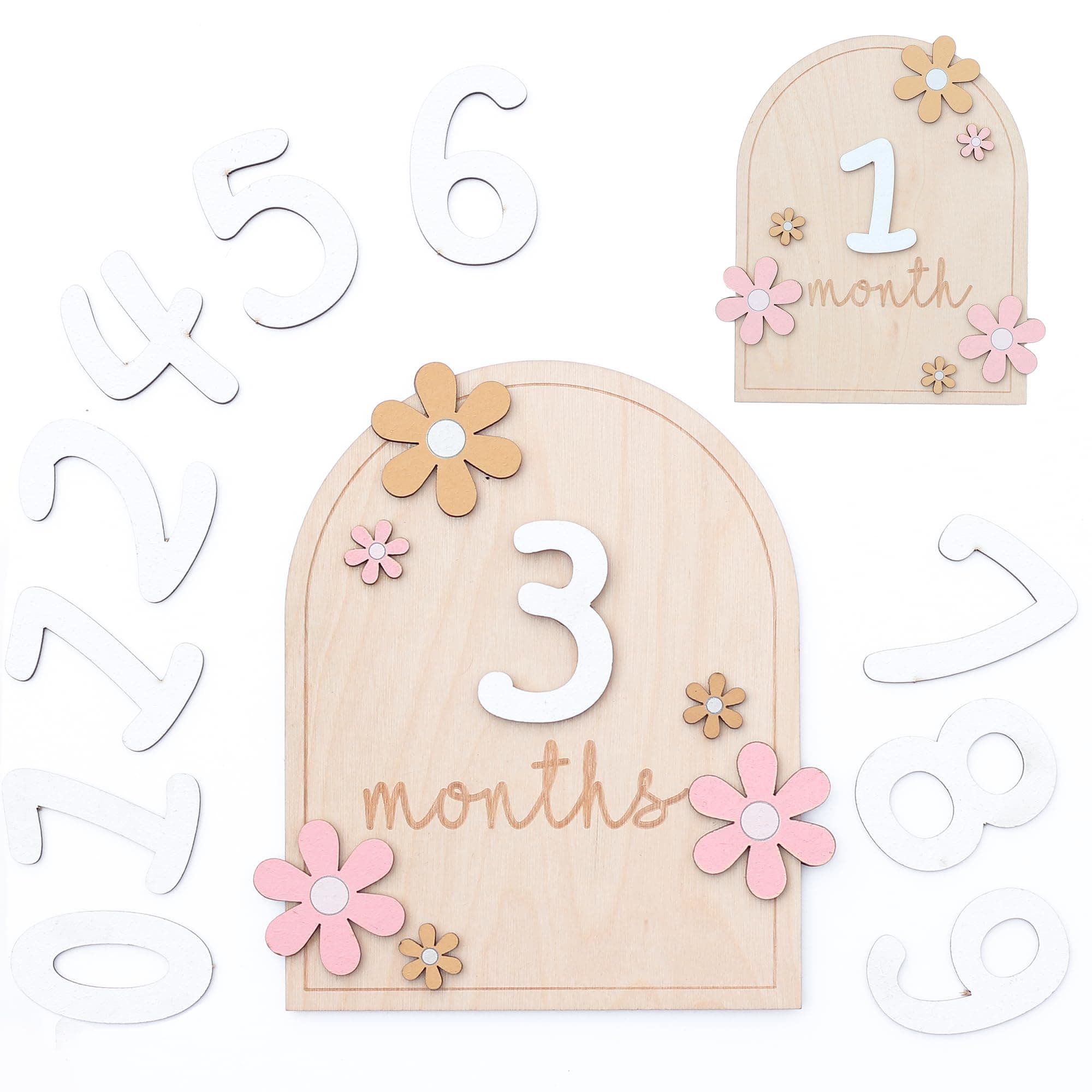 Baby Monthly Milestone Sign,1-12 Monthly Baby Milestone, Month Milestone Baby Girl, Baby Months Milestone, Newborn Photography Props Double-Sided (AA Flower)