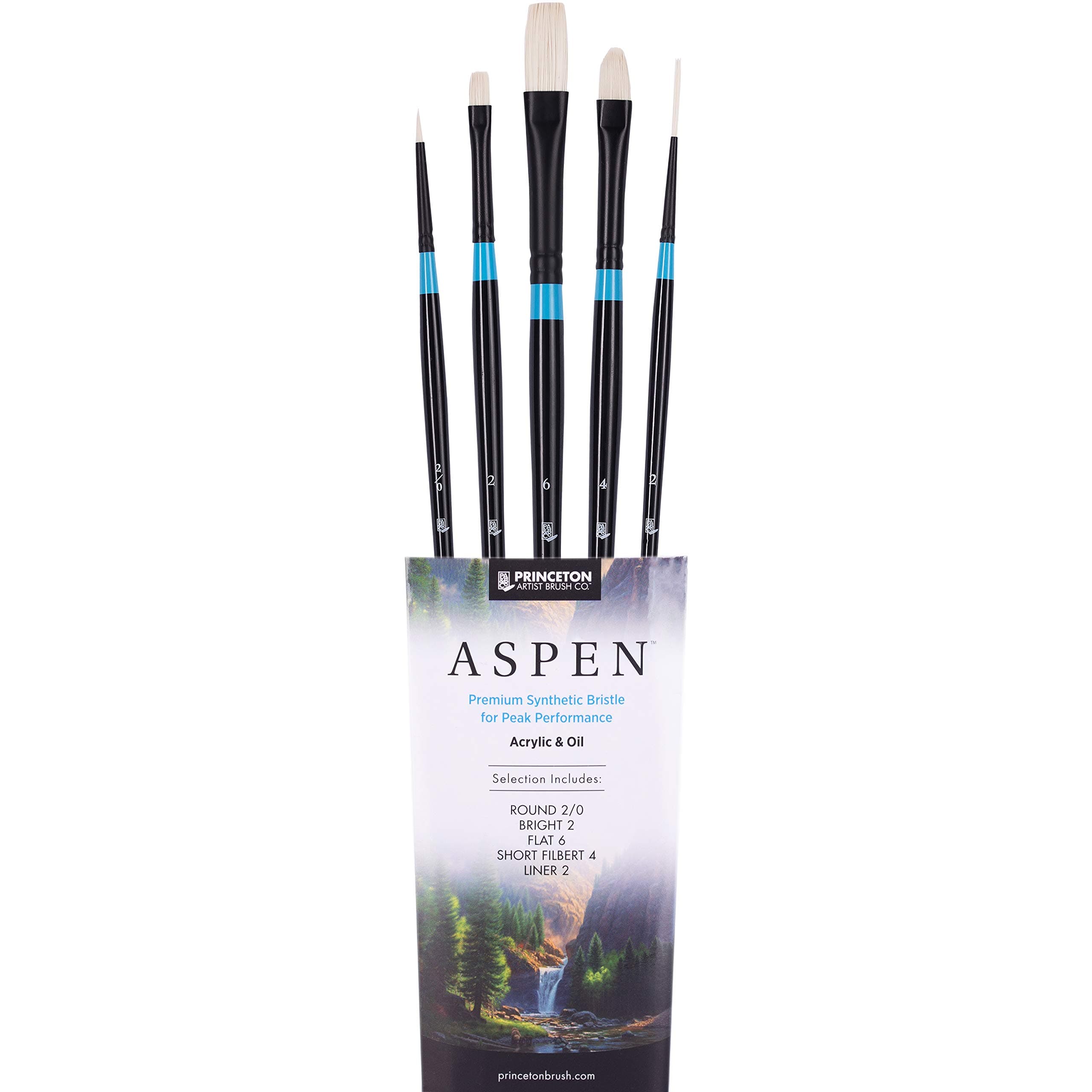 Aspen 6500 Series 5pc Professional Paint Brushes for Acrylic Painting - Synthetic Oil, Gouache, and Acrylic Paint Brushes Set - Filbert Striper Flat & Round Set of Art Brush